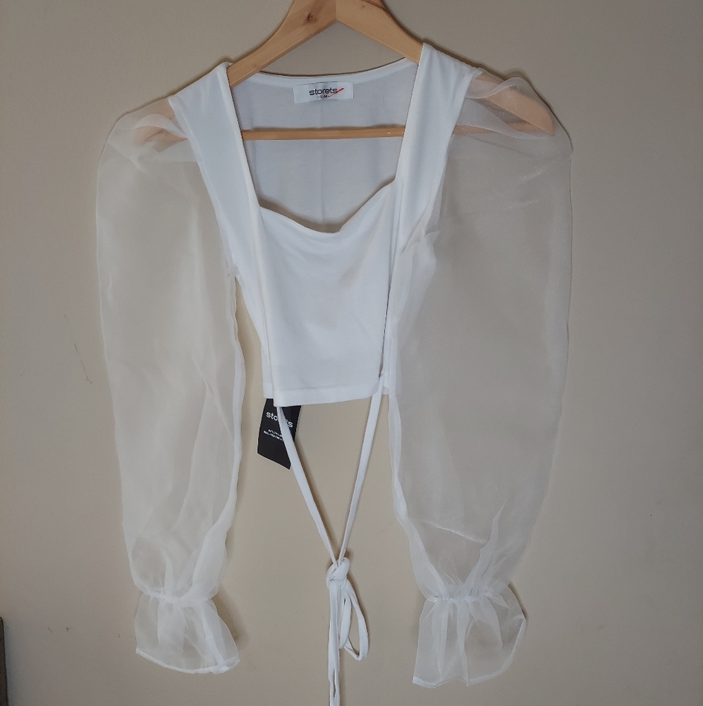 Storets Stella Sheer Puff Sleeve